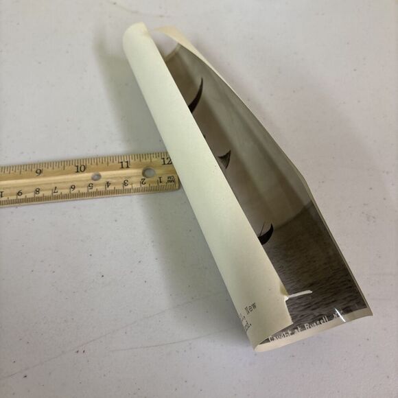 Original VTG New Zealand Government Publicity Photo Swordfish Caught @ Russell - Picture 4 of 6